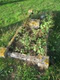 image of grave number 508461